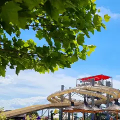 Zieleń drzew nad strefą wodną Energylandia. Kręte zjeżdżalnie i słomiane parasole zapraszają do zabawy.