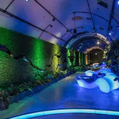 W Muzeum Wody Wrocław, w tunelu z zielonym mchem i roślinnością, odpoczywa człowiek na podświetlanej, futurystycznej leżance.