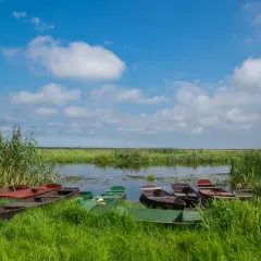 Łodzie czekają nad wodą w Biebrzańskim Parku Narodowym.