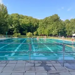 Słoneczny dzień nad basenem w Bytomiu. Woda kusi chłodem, a wokół zielone drzewa.