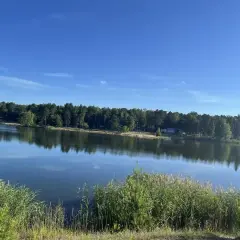 Spokojne, błękitne jezioro Chechło odbija gęsty las i błękitne niebo. Na brzegu szumią trawy.