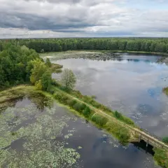 Malownicze jezioro otoczone lasem, z mostkiem i ścieżką. Idealne miejsce na odkrywanie **Hajnówka atrakcje** i natury.