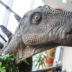 Głowa dinozaura w parku dinozaurów Zakopane, otoczona zielonymi paprociami.