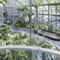 Wrocław, palmiarnia w ogrodzie botanicznym: bujna roślinność, wodospad, staw z liliami wodnymi i ławka.
