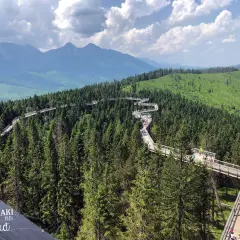 Malownicza ścieżka w koronach drzew w Bukowinie Tatrzańskiej, z widokiem na góry. Spacer wśród zieleni.
