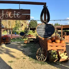 Farma wuja Toma zaprasza do Dyniolandii! Wejście do krainy dyni i jesiennych atrakcji.