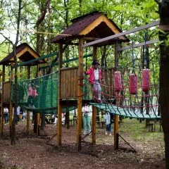 Dzieci bawią się na linowym torze przeszkód w **brzezówka park**. Drewniane platformy i zielone siatki tworzą ekscytującą ścieżkę wśród drzew.
