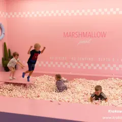 Dzieci bawią się w basenie z piankami w Muzeum Krakowa. Radość i beztroska w różowym świecie.