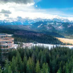 Drewniana konstrukcja sky walk w Poroninie wznosi się nad lasem, oferując widok na ośnieżone Tatry.