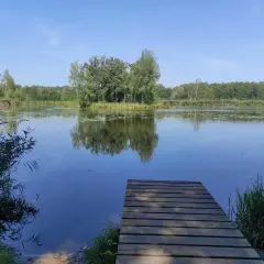 Drewniany pomost nad spokojnym jeziorem Paprocany. Woda odbija drzewa i błękitne niebo.