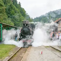 Parowóz z wagonami na tle górskich lasów. Tłum ludzi, w tym dzieci, obserwuje parę wydobywającą się z lokomotywy. Bieszczady atrakcje dla dzieci.