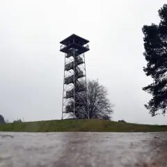 Wieża widokowa na górze lemana, z której roztacza się widok na jesienny krajobraz.
