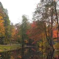 Jesienny park w Wejherowie nad spokojną wodą, drzewa w barwach złota i czerwieni.