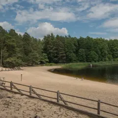 Piaszczysta plaża nad jeziorem w Roztoczańskim Parku Narodowym, otoczona lasem.