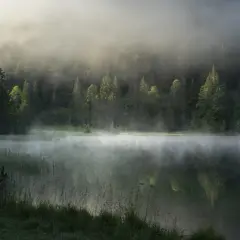 Mglisty poranek nad jeziorem. Las odbija się w spokojnej tafli wody, tworząc magiczny widok. Jezioro Hańcza oferuje takie atrakcje.
