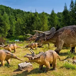 Stado triceratopsów przemierza łąkę w parku rozrywki Jurassic World.