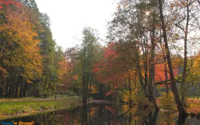 Jesienny park w Wejherowie nad spokojną wodą, drzewa w barwach złota i czerwieni.