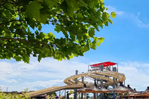 Zieleń drzew nad strefą wodną Energylandia. Kręte zjeżdżalnie i słomiane parasole zapraszają do zabawy.