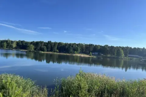 Spokojne, błękitne jezioro Chechło odbija gęsty las i błękitne niebo. Na brzegu szumią trawy.