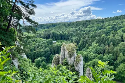 Skaliste formacje i bujna zieleń w jednym z parków narodowych w Polsce. W oddali widać dom wśród drzew.