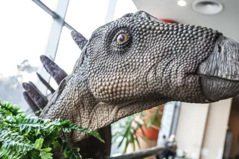 Głowa dinozaura w parku dinozaurów Zakopane, otoczona zielonymi paprociami.