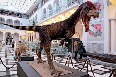 W największym muzeum dinozaurów w Polsce, groźny drapieżnik czeka na zwiedzających. W tle ekspozycje i mapy geologiczne.