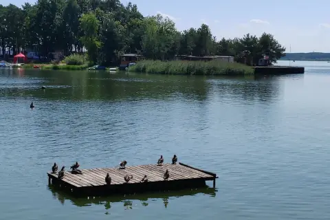 Kaczki odpoczywają na drewnianym pomoście na Jeziorze Turawskim. To jedno z wielu urokliwych miejsc i atrakcji tego regionu.