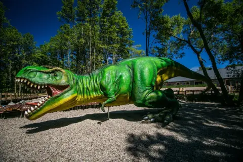 Potężny T-Rex w parku ewolucji w Sławutówku, gotowy do ataku.