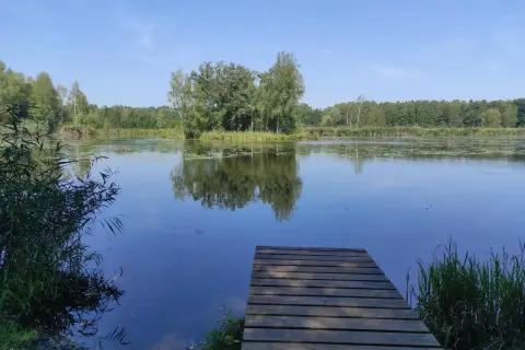Drewniany pomost nad spokojnym jeziorem Paprocany. Woda odbija drzewa i błękitne niebo.
