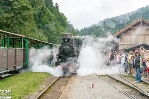 Parowóz z wagonami na tle górskich lasów. Tłum ludzi, w tym dzieci, obserwuje parę wydobywającą się z lokomotywy. Bieszczady atrakcje dla dzieci.
