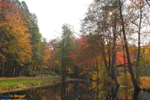 Jesienny park w Wejherowie nad spokojną wodą, drzewa w barwach złota i czerwieni.