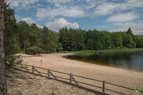 Piaszczysta plaża nad jeziorem w Roztoczańskim Parku Narodowym, otoczona lasem.
