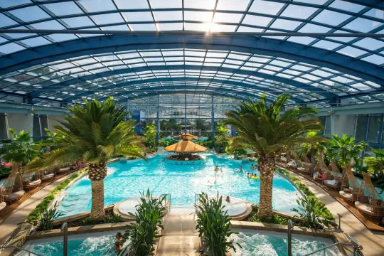 Tropikalny raj pod szklanym dachem. Binkowski basen z palmami, barem w wodzie i jacuzzi zaprasza do relaksu.