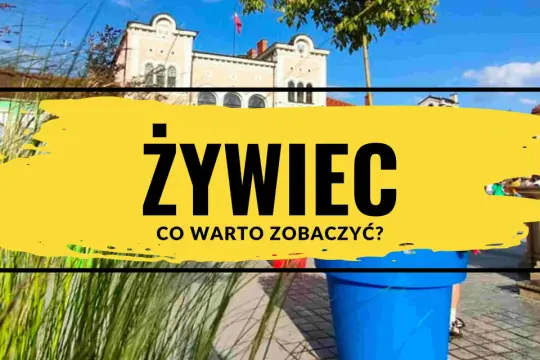 Żywiec atrakcje: zobacz urokliwy rynek i zabytkowe kamienice. Idealne miejsce na spacer i odkrywanie historii.