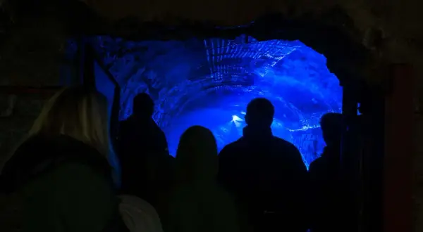 Grupa ludzi wchodzi do tunelu oświetlonego niebieskim światłem. To część podziemnej trasy turystycznej w dawnej kopalni uranu Kowary.