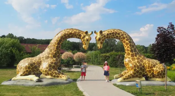 Dzieci pozują między gigantycznymi żyrafami w parku rozrywki Wielkopolska.