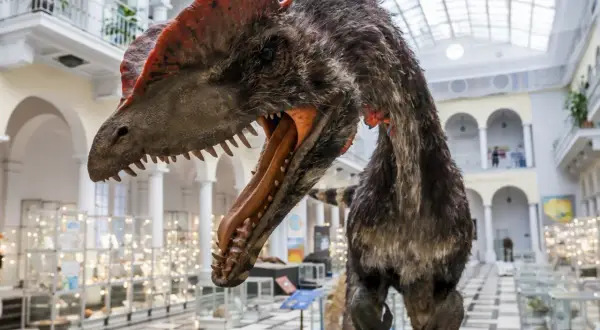 Model dinozaura z otwartym pyskiem w muzeum dla dzieci Warszawa. W tle gabloty z eksponatami i arkadowe galerie.