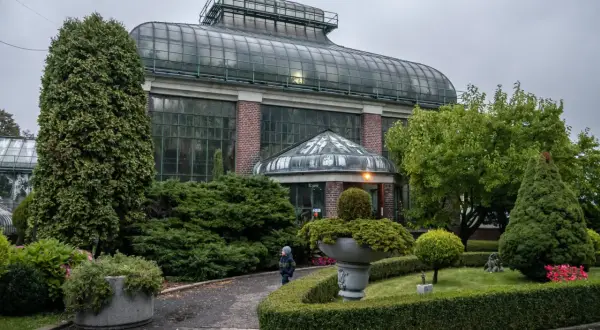 Dziecko spaceruje pośród zieleni przed szklarniową budowlą, która może być częścią parku rozrywki w Wałbrzychu.