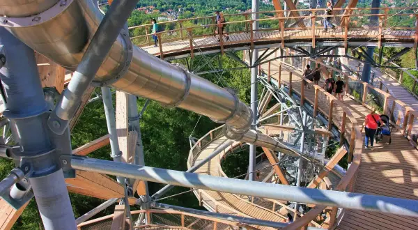 Drewniana konstrukcja z metalową zjeżdżalnią tworzy ścieżkę w koronach drzew. Ludzie spacerują po platformach, podziwiając widoki. To wspaniały sky walk!