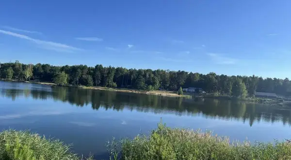 Spokojne, błękitne jezioro Chechło odbija gęsty las i błękitne niebo. Na brzegu szumią trawy.