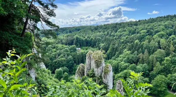Skaliste formacje i bujna zieleń w jednym z parków narodowych w Polsce. W oddali widać dom wśród drzew.