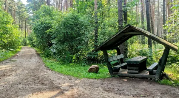Leśna droga prowadzi do drewnianej altany z ławami i stołem, idealne miejsce na odpoczynek. To jedna z wielu **rybnik atrakcje** dla miłośników natury.