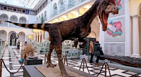 W największym muzeum dinozaurów w Polsce, groźny drapieżnik czeka na zwiedzających. W tle ekspozycje i mapy geologiczne.