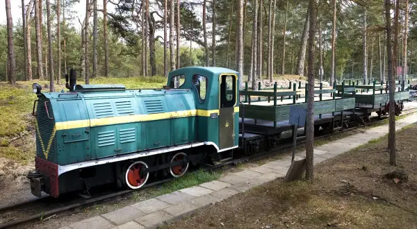 Zielona lokomotywa z żółtym pasem i wagonami na torach leśnych. Ekspozycja w Muzeum Obrony Wybrzeża w Helu.