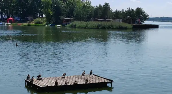 Kaczki odpoczywają na drewnianym pomoście na Jeziorze Turawskim. To jedno z wielu urokliwych miejsc i atrakcji tego regionu.
