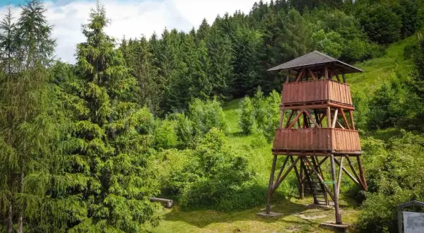 Drewniana wieża widokowa Słowacja, otoczona bujną zielenią lasu i wzgórz. Idealne miejsce na podziwianie panoramy.