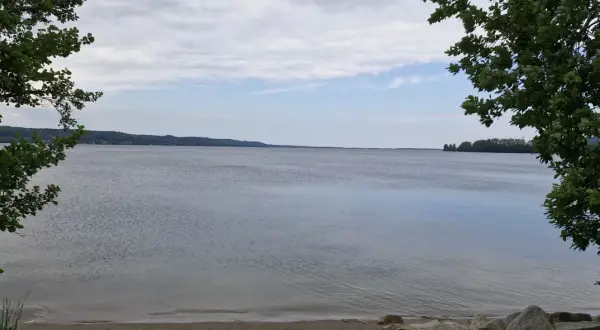 Spokojne jezioro Żarnowieckie, otoczone zielenią, zaprasza do odpoczynku. Idealne miejsce na relaks i podziwianie natury.