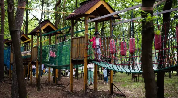 Dzieci bawią się na linowym torze przeszkód w **brzezówka park**. Drewniane platformy i zielone siatki tworzą ekscytującą ścieżkę wśród drzew.