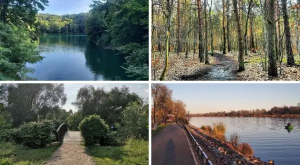 Malownicze krajobrazy: spokojna woda otoczona lasem, ścieżka w jesiennym lesie, mostek w zielonym parku, nadbrzeżna promenada. Jakby z Doliny Siedmiu Młynów.