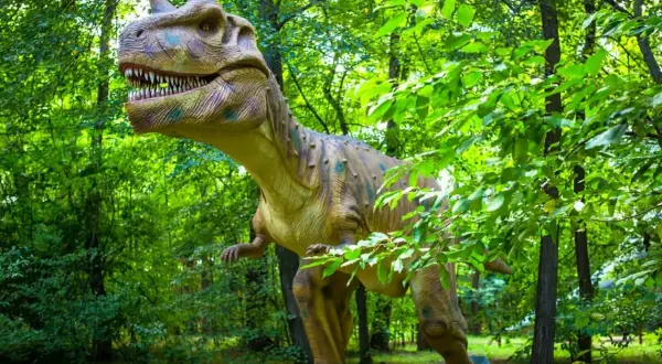 Witaj w parku ruchomych dinozaurów! Gigantyczny, realistyczny T-Rex czeka na Ciebie wśród bujnej zieleni.